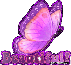 Beautiful Butterfly picture