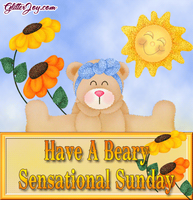 Beary Sensational Sunday picture