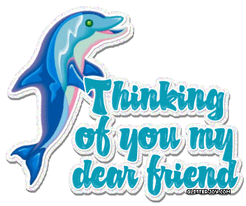 Dolphin Thinking Of You picture